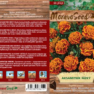 Studentenblume niedrig - Tagetes patula - gefüllt orangebraun