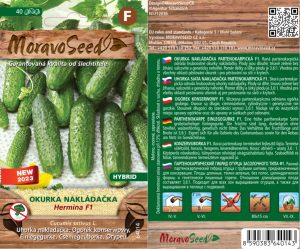 Einlegegurke grobnoppig - Cucumis sativus - HERMINA F1
