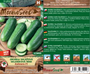 Salatgurke Gewächshaus - Cucumis sativus - KALIMERO F1