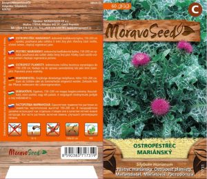 Mariendistel - Silybum marianum