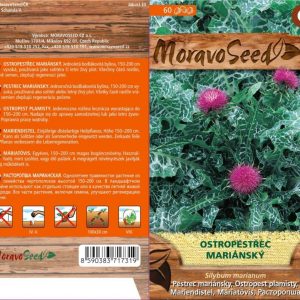 Pestrec mariánsky- Silybum marianum