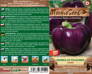Treibpaprika - Capsicum annuum - LORAN - quadratisch, violett