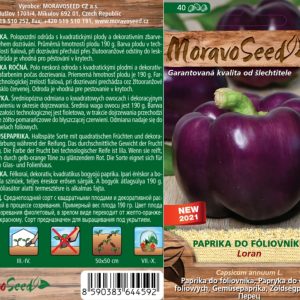 Paprika na rýchlenie - Capsicum annuum - LORAN - kvadratická, fialová