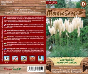 Pampasgras - Cortaderia selloana - weiß