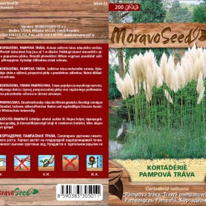 Pampasgras - Cortaderia selloana - weiß