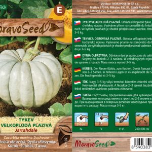 Großfruchtkürbis - Cucurbita maxima - JARRAHDALE - rankend