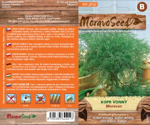 Dill - Anethum graveolens - Moravan