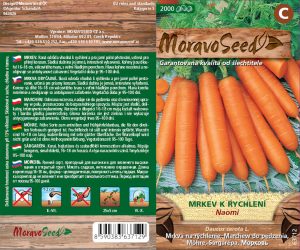 Frühe Karotte - Daucus carota L. - Naomi
