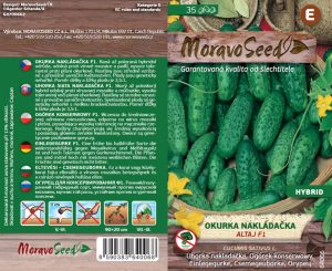 Einlegegurke grobnoppig - Cucumis sativus - ALTAJ F1