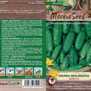 Einlegegurke grobnoppig - Cucumis sativus - ALTAJ F1