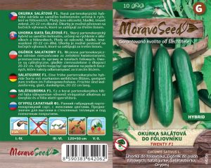 Salatgurke Folientunnel - Cucumis sativus - TWENTY F1