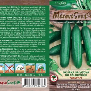 Salatgurke Folientunnel - Cucumis sativus - TWENTY F1