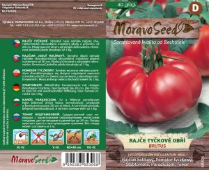 Stabtomate - Lycopersicon esculentum Mill. - BRUTUS - riesig