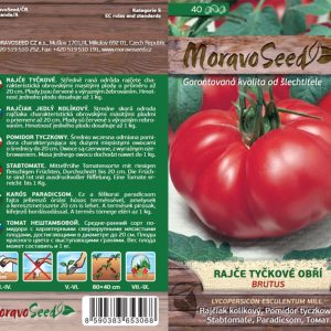 Stabtomate - Lycopersicon esculentum Mill. - BRUTUS - riesig