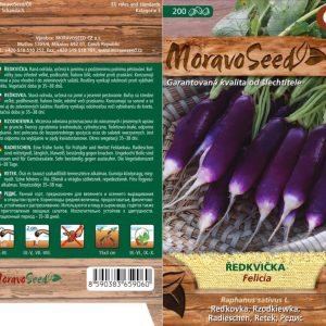 Reďkovka - Raphanus sativus - FELICIA - fialovobiela, valcovita