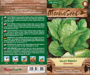 Römersalat - Lactuca sativa - GALANDER