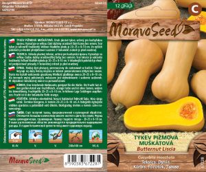 Moschuskürbis - Cucurbita moschata - BUTTERNUT LISCIA - Muskat