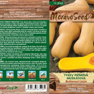 Moschuskürbis - Cucurbita moschata - BUTTERNUT LISCIA - Muskat