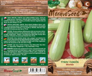 Buschkürbis - Cucurbita pepo - WANDA