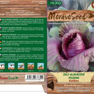 Kopfkohl - Brassica oleracea - KALIBOS - rot, spät