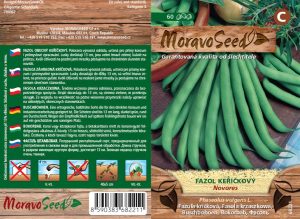 Buschbohne - Phaseolus vulgaris - NOVORES - grün