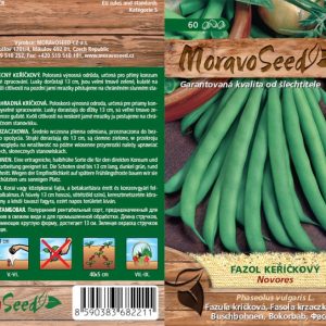 Buschbohne - Phaseolus vulgaris - NOVORES - grün