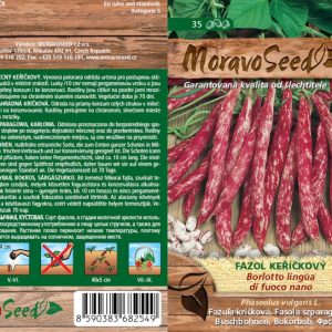 Buschbohne - Phaseolus vulgaris - BORLOTTO L.DI FUOCO NANO - meliert