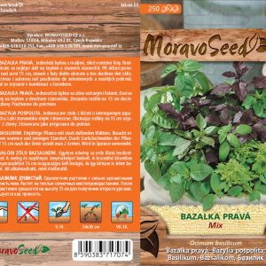 Bazalka pravá - Ocimum basilicum - zmes