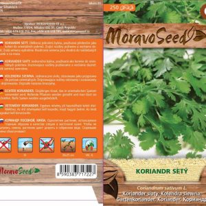 Koriander siaty - Coriandrum sativum