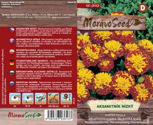 Studentenblume niedrig - Tagetes patula - braungelb