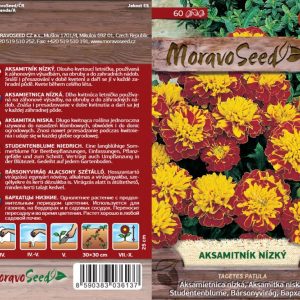 Studentenblume niedrig - Tagetes patula - braungelb