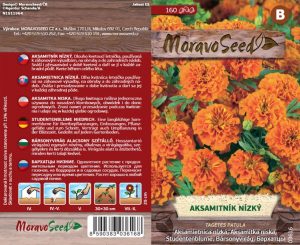 Studentenblume niedrig - Tagetes patula - orange