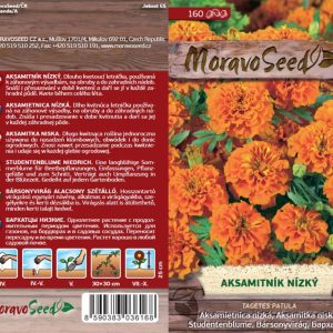 Studentenblume niedrig - Tagetes patula - orange