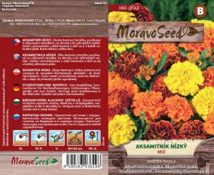 Studentenblume niedrig - Tagetes patula - Mischung