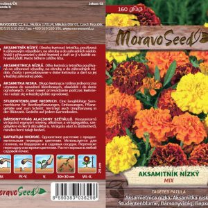 Studentenblume niedrig - Tagetes patula - Mischung