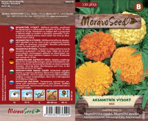 Studentenblume aufrecht - Tagetes erecta