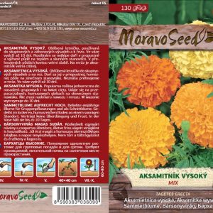 Studentenblume aufrecht - Tagetes erecta