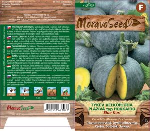 Großfruchtkürbis - Cucurbita maxima - BLUE KURI - Hokkaido-Typ - rankend