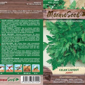 Zeler listový - Apium graveolens - Jemný
