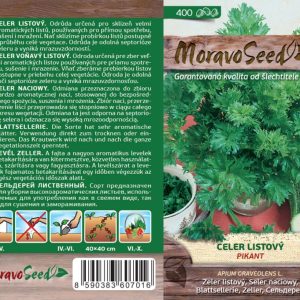 Zeler listový kaderavý - Apium graveolens - Pikant