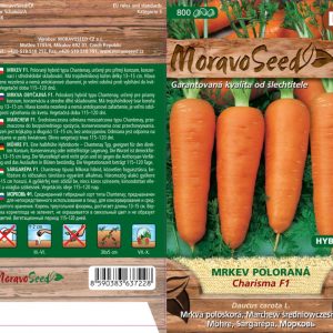 Mittel-späte Karotte - Daucus carota L. - (Chantenay) - CHARISMA F1