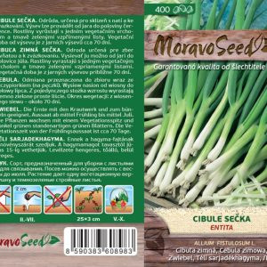 Winterzwiebel - Allium fistulosum L. - Entita
