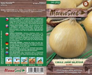 Salat-Frühlingszwiebel - Allium cepa L. - Globo