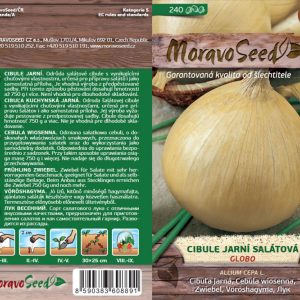 Salat-Frühlingszwiebel - Allium cepa L. - Globo
