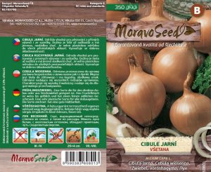 Frühlingszwiebel - Allium cepa L. - Všetana - gelb