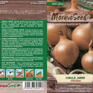 Frühlingszwiebel - Allium cepa L. - Všetana - gelb
