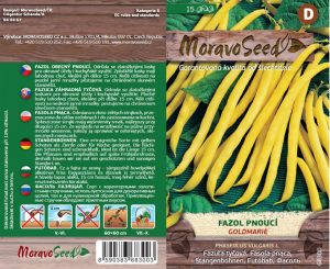 Stangenbohne - Phaseolus vulgaris - GOLDMARIE - gelb