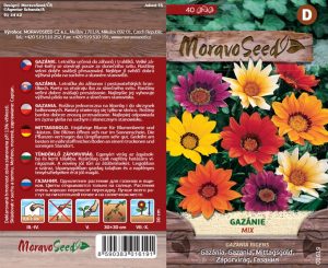 Mittagsgold - Gazania rigens