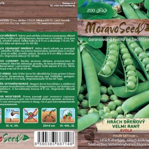 Markerbse sehr früh - Pisum sativum - AVOLA