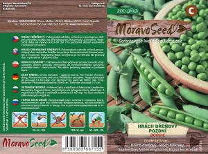 Markerbse spät - Pisum sativum